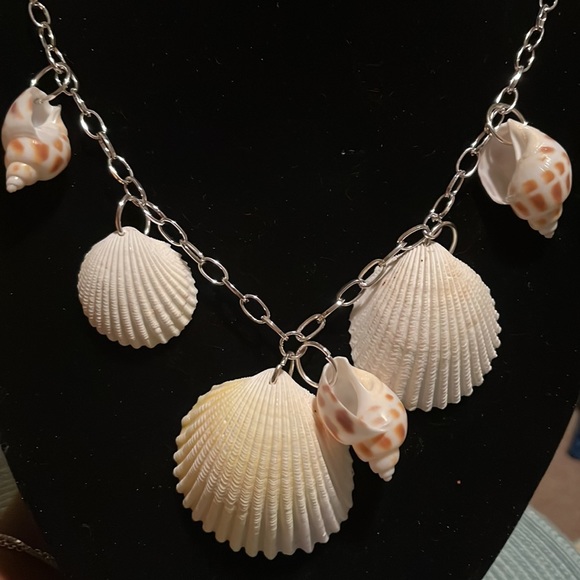 ❤️Nwt stunning seashell necklace 22 inches long - Picture 2 of 2